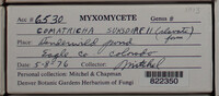 Image Associated With the Occurence